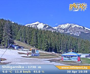 bansko cam