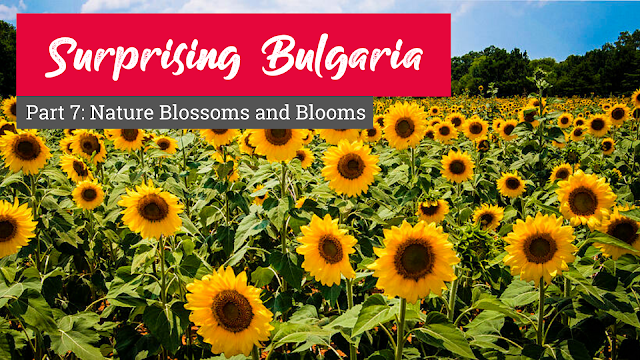 Surprising Bulgaria – Part 7: Nature Blossoms and Blooms
