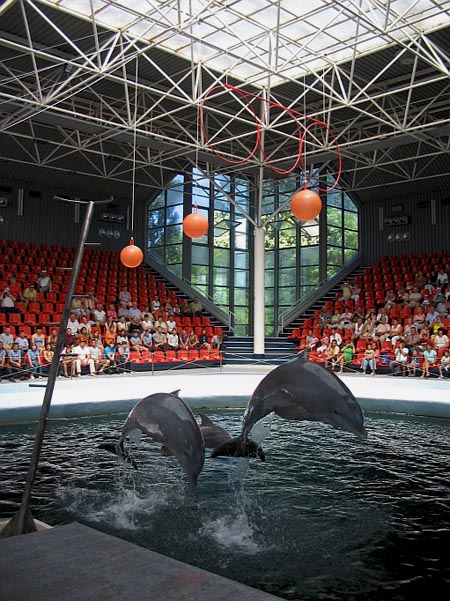 Visit Varna Dolphinarium