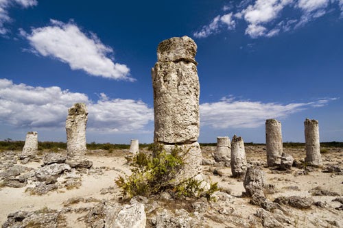 Bulgaria's Stone Forest - a fascinating day trip from Varna